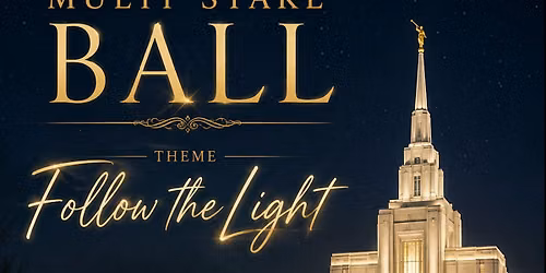 Multi Stake Ball - Follow the Light