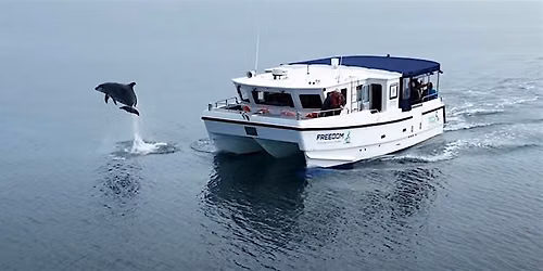 Exclusive Boat Trip on the MV Freedom 6\/8