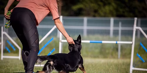 Lila Zachwatowicz w Smart Dog Gang 