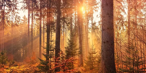 Autumn Equinox Equilibrium