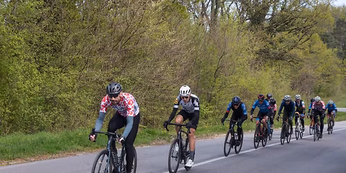 Putevima cvije\u0107a 2026