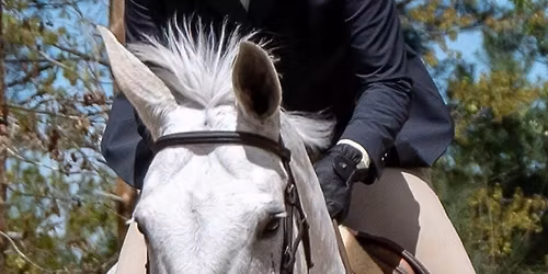 Gray Horse Farm Horse Show