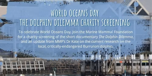 Celebrate World Ocean's Day - The Dolphin Dilemma Screening