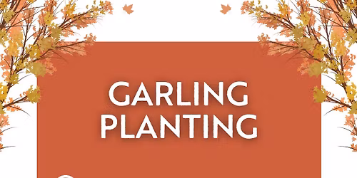 VINES: Green Thumb Workshop: Garlic Planting, 11\/15\/2025