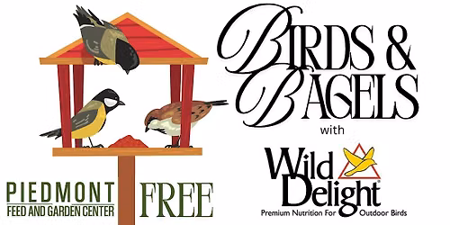 Birds & Bagels at Piedmont Feed & Garden Center