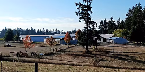 SORTING WITH MATT RICHARDS 