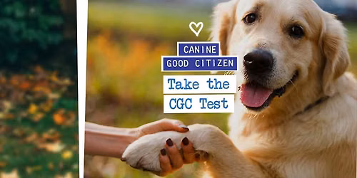 Canine Good Citizen Testing 