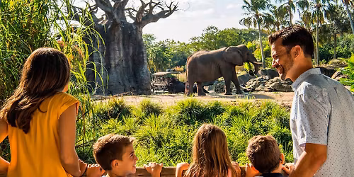 Parking Water For Elephants - Orlando