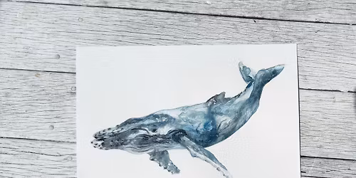 Watercolour Whales Workshop 2nd May 2026