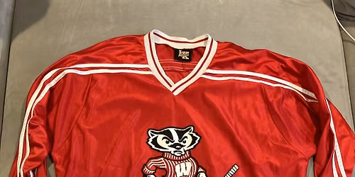 Michigan Wolverines at Wisconsin Badgers Mens Hockey at Kohl Center