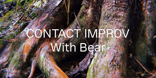 Contact Improv with Bear