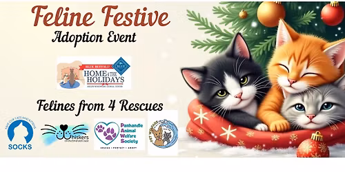 Home for the Holidays: Feline Festive