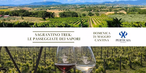 SAGRANTINO TREK: LE PASSEGGIATE DEI SAPORI - CANTINA PERTICAIA