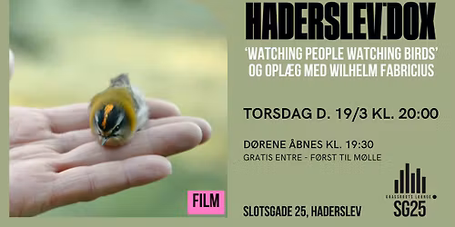 HADERSLEV:DOX - 'Watching People Watching Birds'