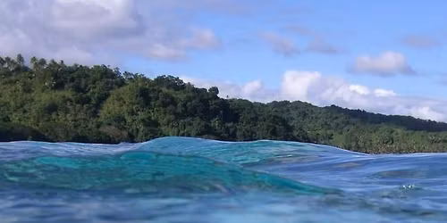 HOMESCHOOL: MARINE PLASTICS