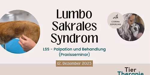 LSS - Palpation und Behandlung (Praxis)