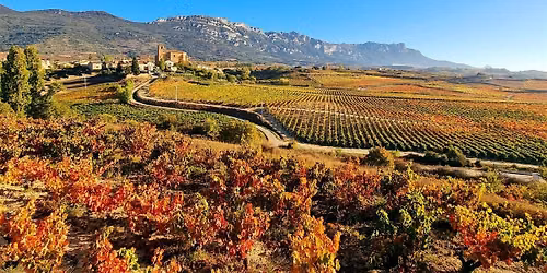 Wine Class - Single Vineyard Rioja