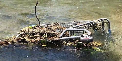 Spring Break Creek Clean Up