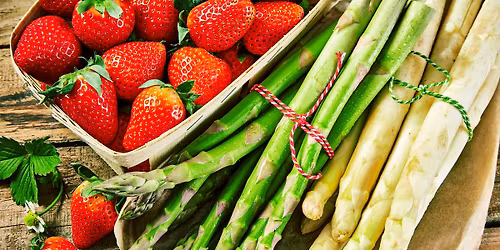 Fischmarkt an der Kosmos-Promenade (Reform)