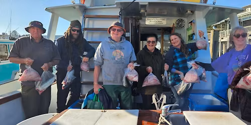 10 Hour Full Day Jump Aboard: 7 spots available: Friday 21st November