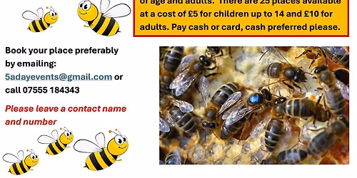 Bee talk