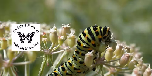 PHOTOGRAPHIC GROUP - Wildlife of Belize and Guatemala