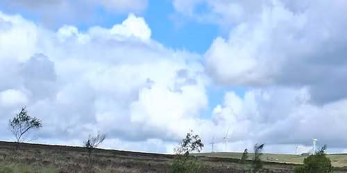 Halifax - Wellbeing Swimble - Wednesday 10am 