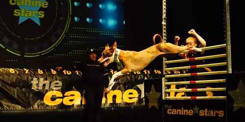 Canine Stars Stunt Dog Show