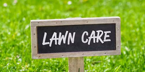 Lawn Care for Spring (and this warm winter)
