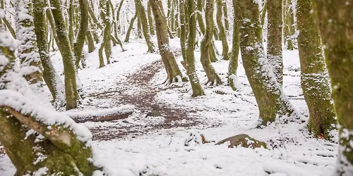 Troldetur i skumringen