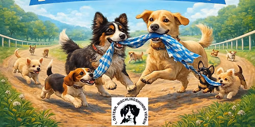 Hunderennen - Fetzenlauf