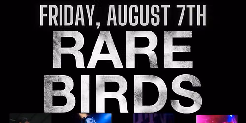 First Friday feat. Rare Birds live at The Hummingbird