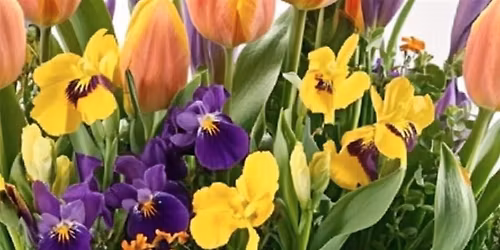 Mother's Day Florist Workshop