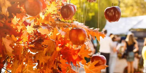 Art and Craft Fair