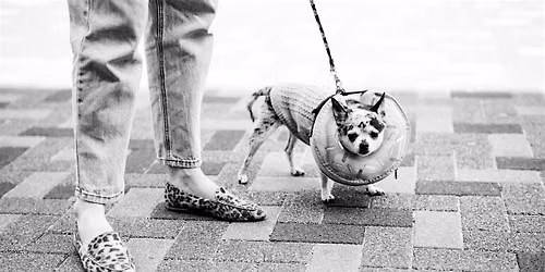 Street Photography Workshop