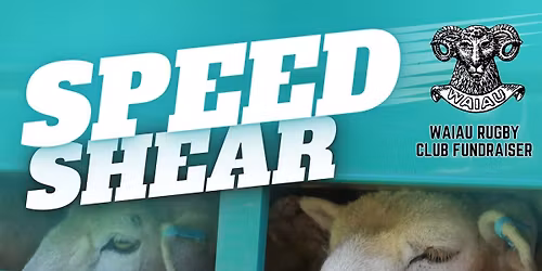 WAIAU RUGBY SPEED SHEAR 