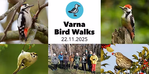 Varna Bird Walks - \u0411\u043e\u0442\u0430\u043d\u0438\u0447\u0435\u0441\u043a\u0430 \u0433\u0440\u0430\u0434\u0438\u043d\u0430 - 22.11.2025