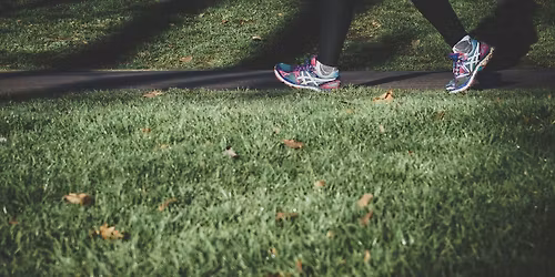 Wellness Walking and Gentle Stretching Workshop