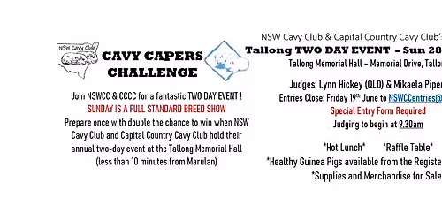 Guinea Pig Show - Tallong SUNDAY Show
