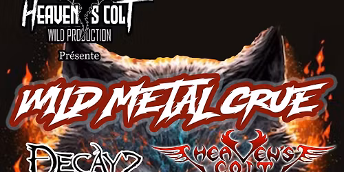 WILD METAL CRUE