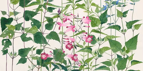 Sarah's Garden Revisited