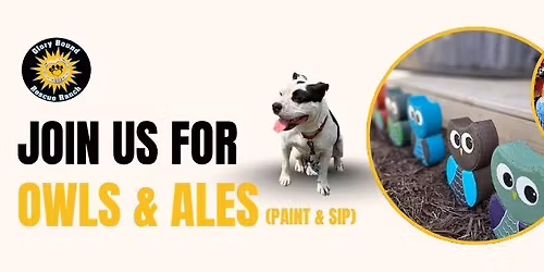 Owls & Ales: Paint & Sip