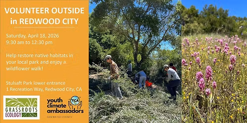 Root Against Risk- Cotoneaster Removal  at Stulsaft Park