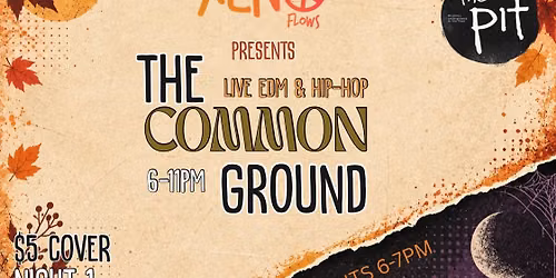 The Common Ground (Night 1) @ThePitICT