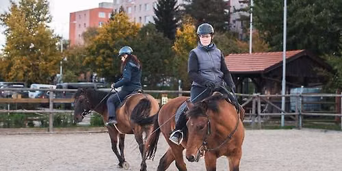 V\u00e1clav Bo\u0159\u00e1nek - Horsemanship III. -Prakt. uk\u00e1zky z\u00e1kl. cvi\u010den\u00ed pro v\u00fdchovu jezdce a kon\u011b pod sedlem