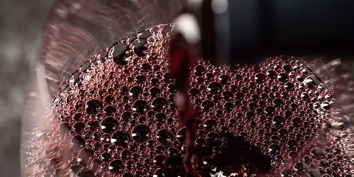 Wine'd Down Friday: International Tempranillo Day wine flight