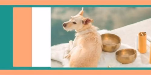 Hound Healing-a special sound bath for dogs and their humans