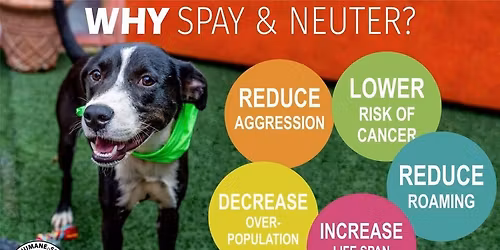 HSJC Spay Neuter Clinic