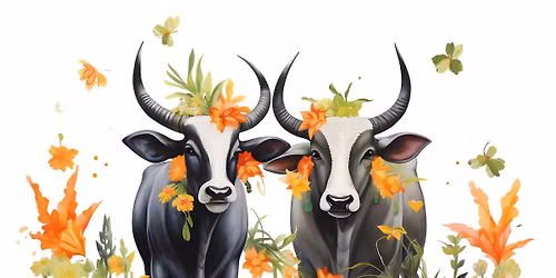 Thankful Hearts and Hooves: A Pay It Forward Thanksliving Feast