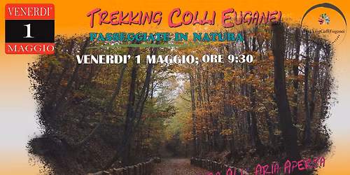 BASTIA: IL MONTE SPINAZZOLA, IL SENTIERO OSCURO E LA PRIARA GROSSA